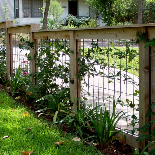 Garden fence with simple planting in Tarrytown nei