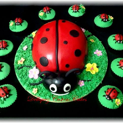 Lady bug combo or separate. Have it your way!
Ador