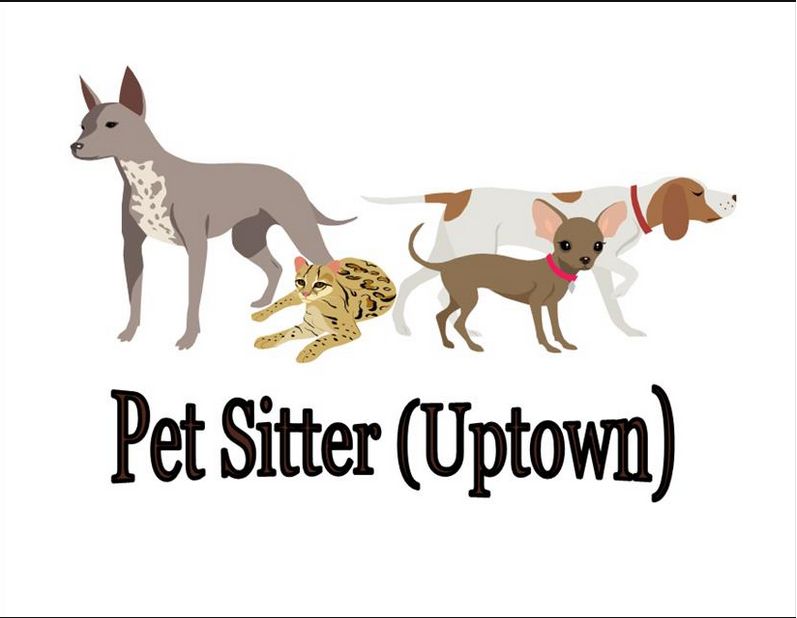 Pet Sitter Uptown