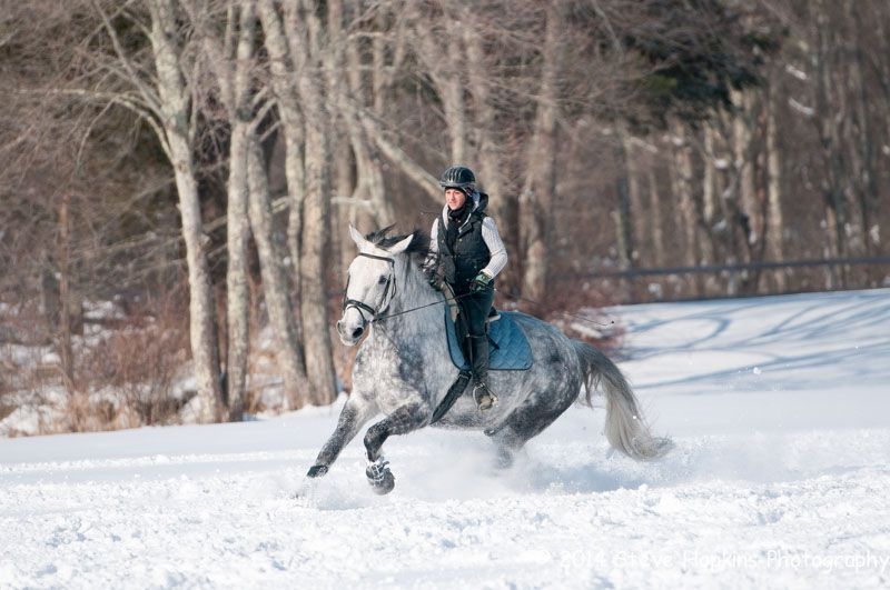 Equestrian Photography