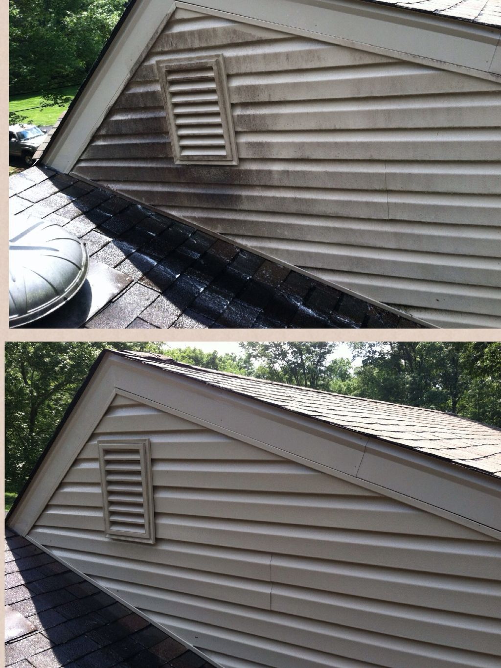 We can remove dirt and mold from your home