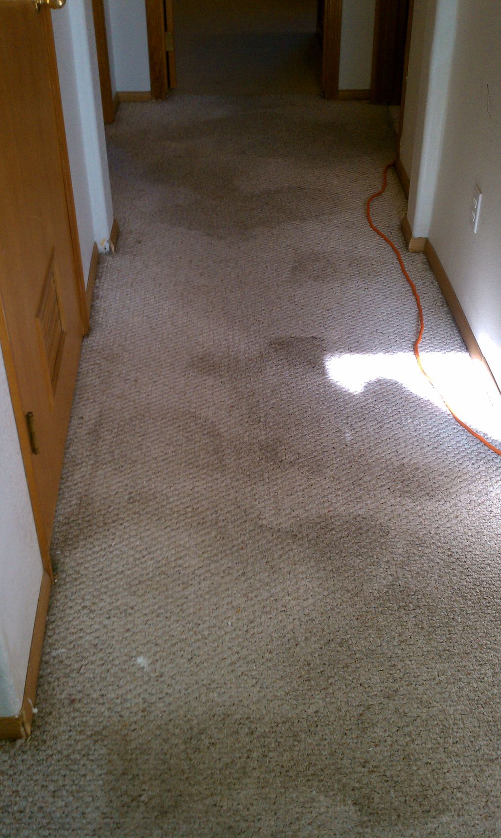 Hallway 1 Before cleaning with regular wand.