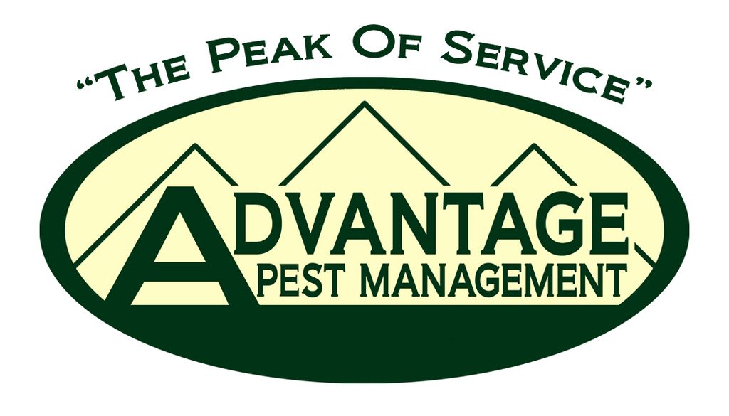 Advantage Pest Management