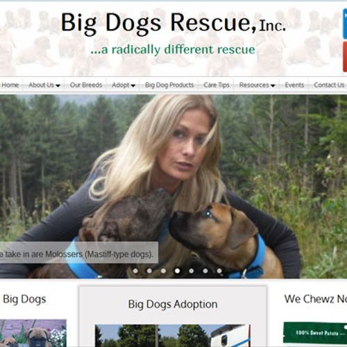 Big Dogs Rescue