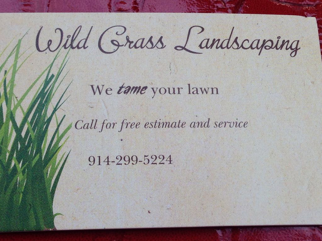 Wild Grass Landscaping