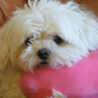 This is Deuce "aka" Lil Man, he is a character and