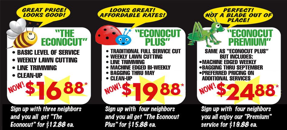 Our specials from spring 2014.