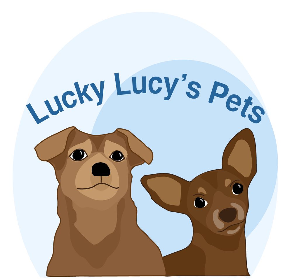 Lucky Lucy's Pets: Medford Dog Walking and Pet Sit