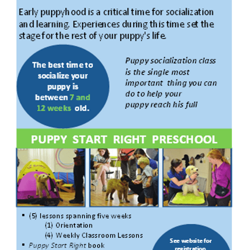 Puppy Start Right Preschool is offered at Waterhou