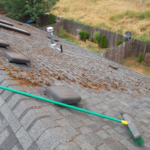 cleaning your roof and applying a moss killer can 