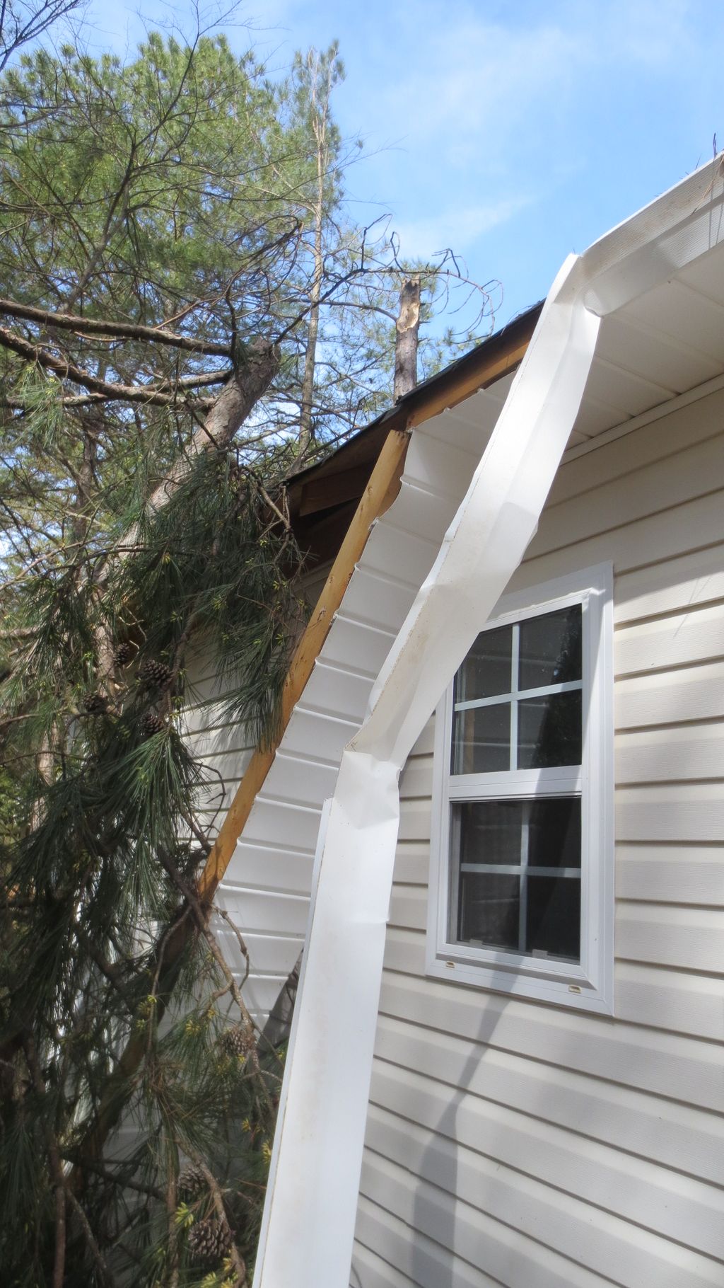 Have you had a tree fall on your house? Call now! 