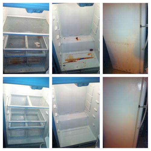 Deep Clean Refrigerator