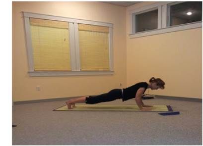 Dandasana or High Plank Asana