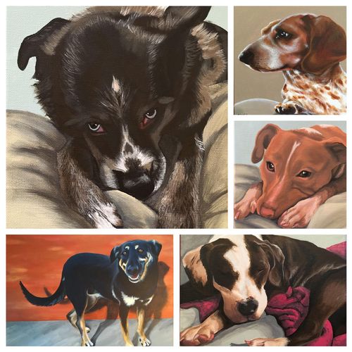 Custom Pet Paintings I am commissioned to do.