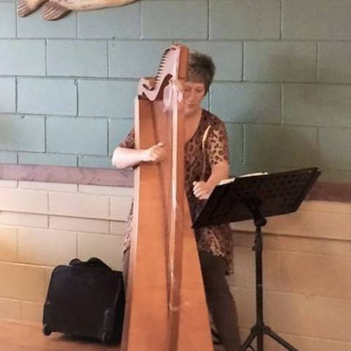Background harp entertainment at local coffee hous