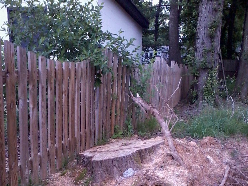 Stump grinding