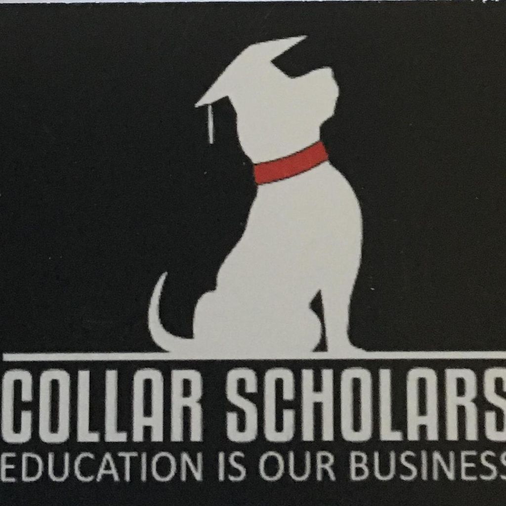 Collar Scholars Dog Training