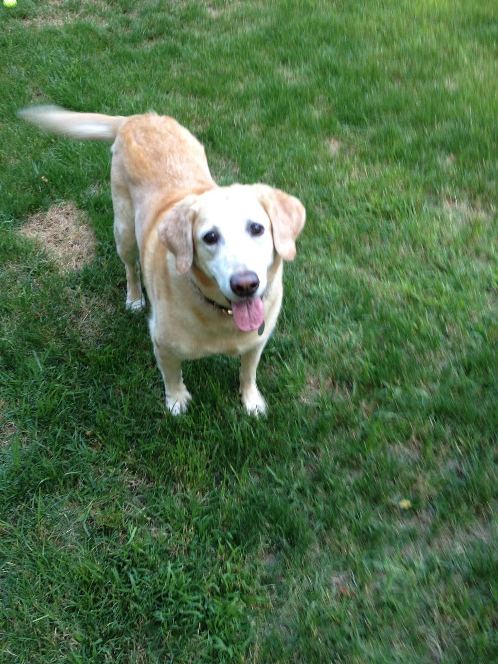 Maggie