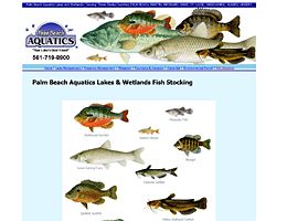 Fish and Aquatic Website design