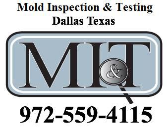 Dallas Mold Inspection