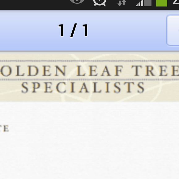 Golden Leaf Tree Specialist