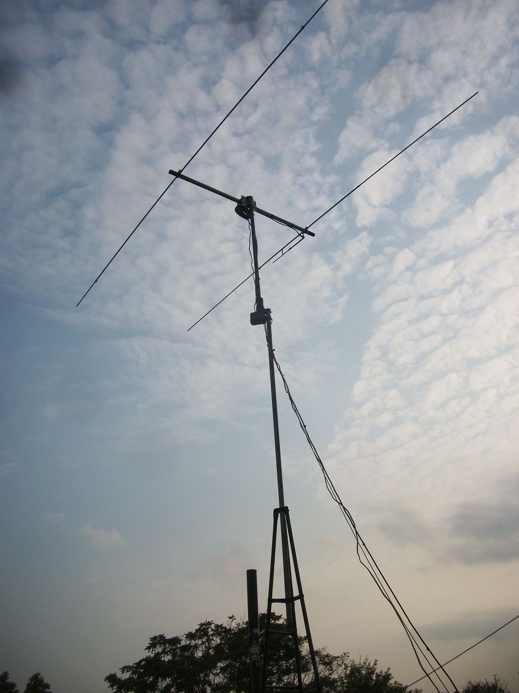 2 Element Tazor CB Antenna Designed, Built & Opera
