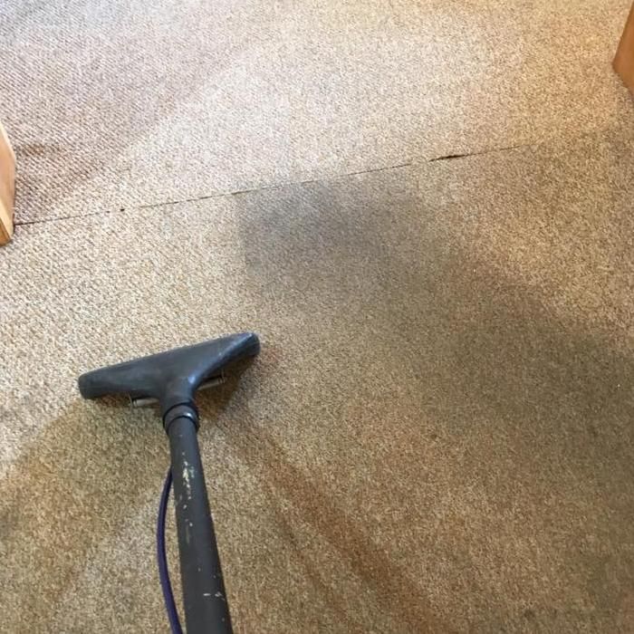Maine Carpet Cleaning