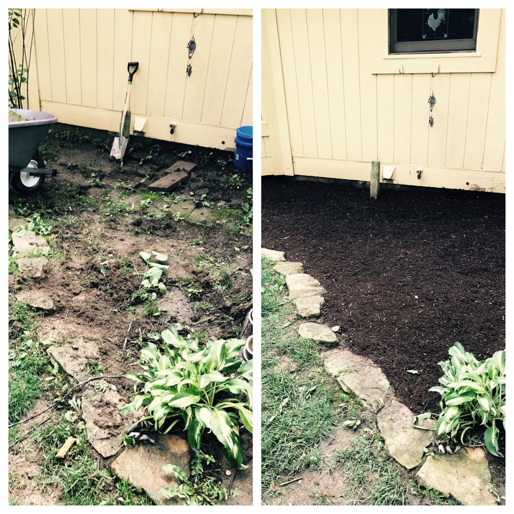 CLEAN UP & MULCHING JOB