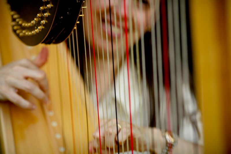 I love to play the harp!