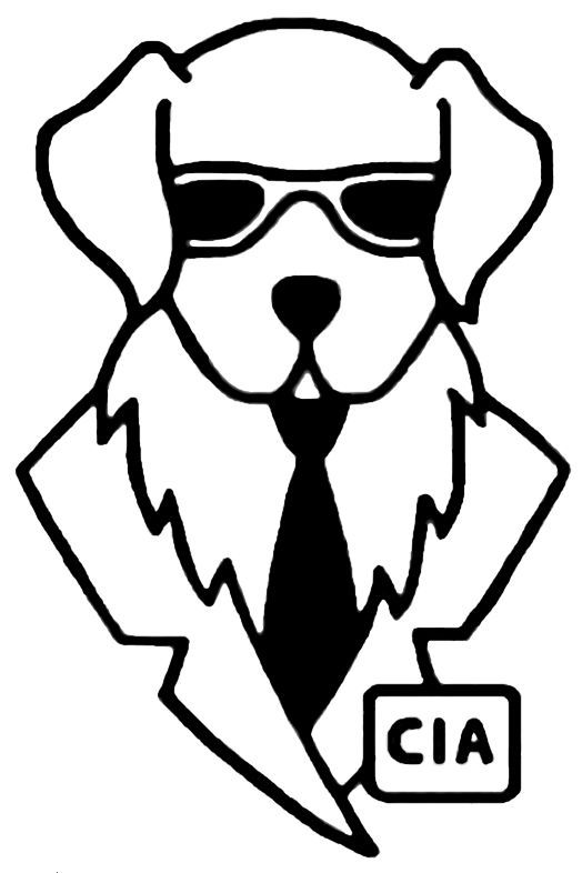 Join the CIA!