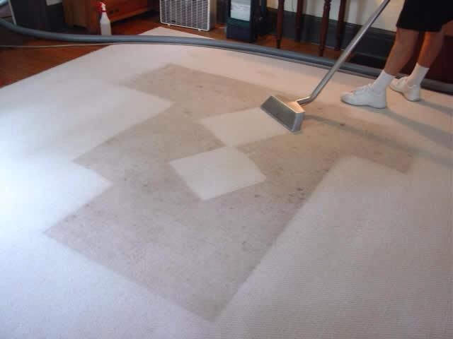 We  provide carpet care and steam cleaning for all