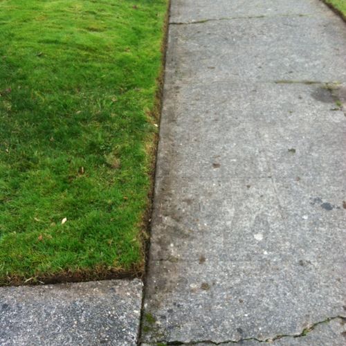 Edging give your lawn that professional look