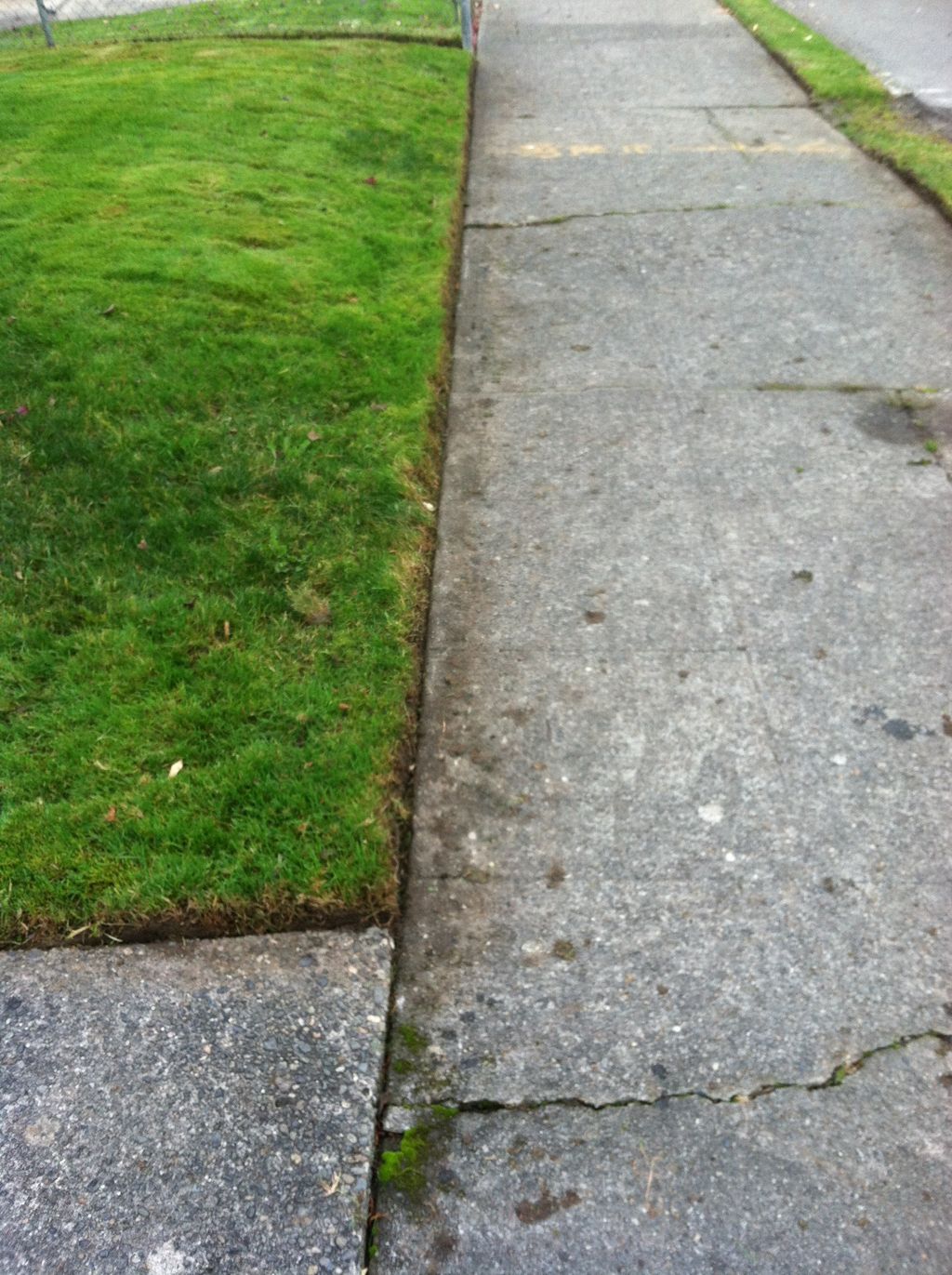 Edging give your lawn that professional look