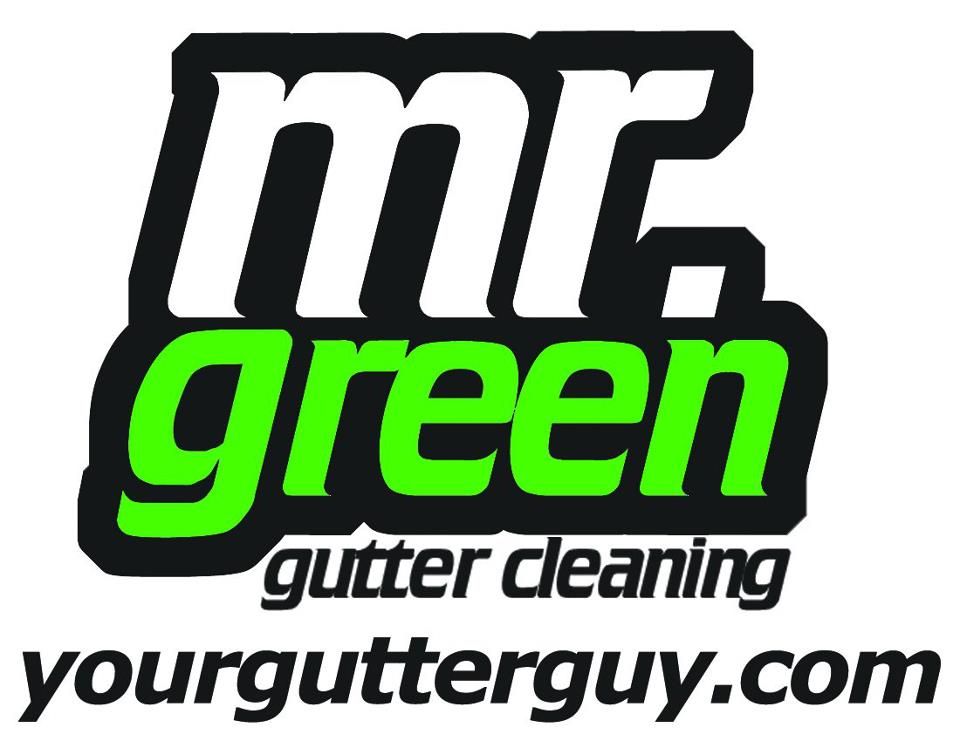 Mr. Green Gutter Cleaning