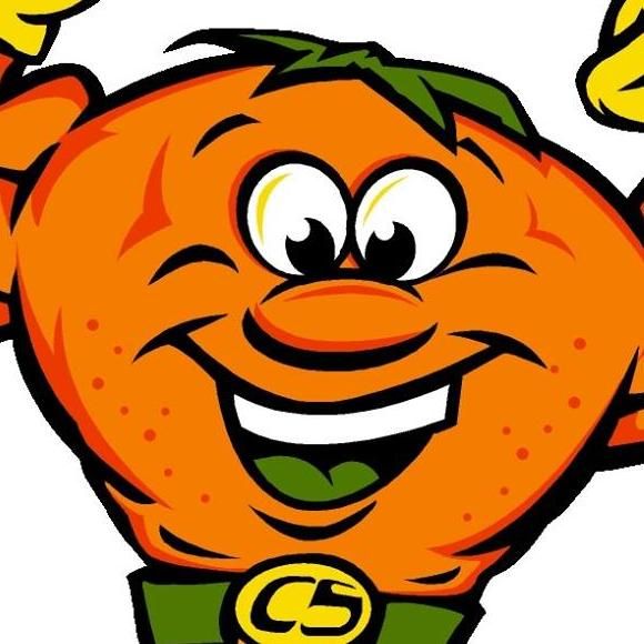 CitruSolution Carpet Cleaning