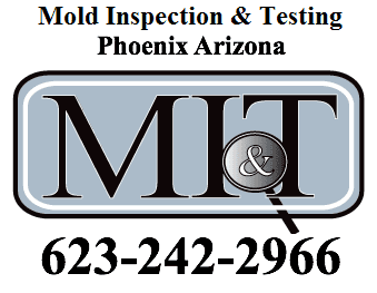 Mold Inspection Phoenix