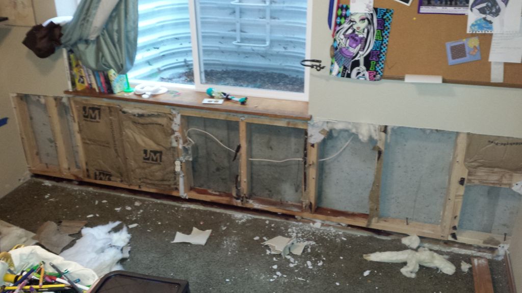 This is the before picture of a mold mitigation pr