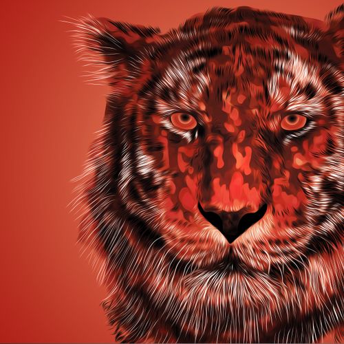 Tiger - Illustration/ Digital Painting