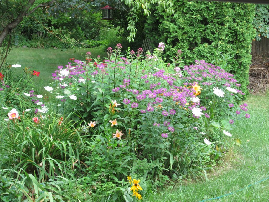 A sample of our gardening layouts.