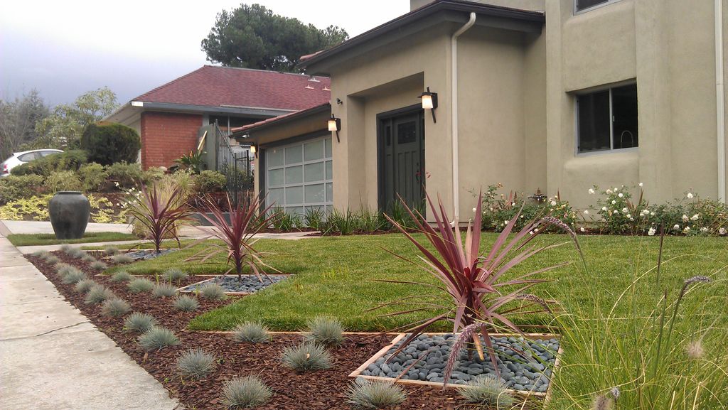 Contemporary planting design.