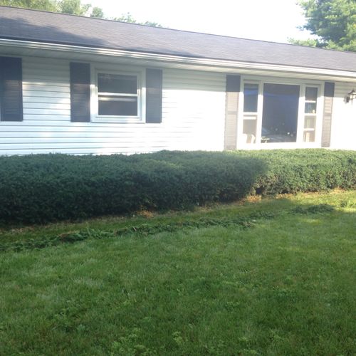 Paver edging installed, bushes trimmed