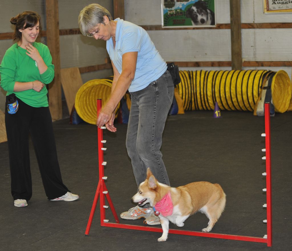 Agility Training