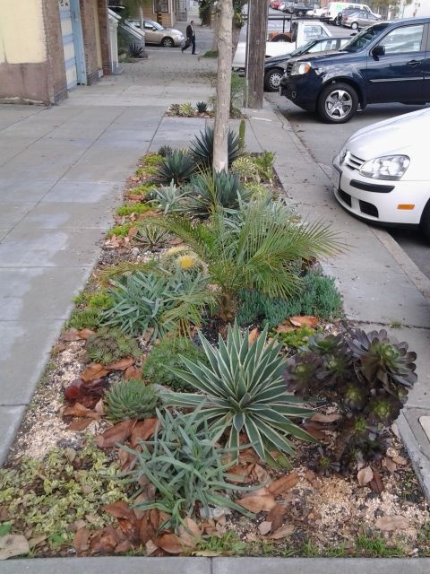 Side walk . In front of the house in the Dog patch