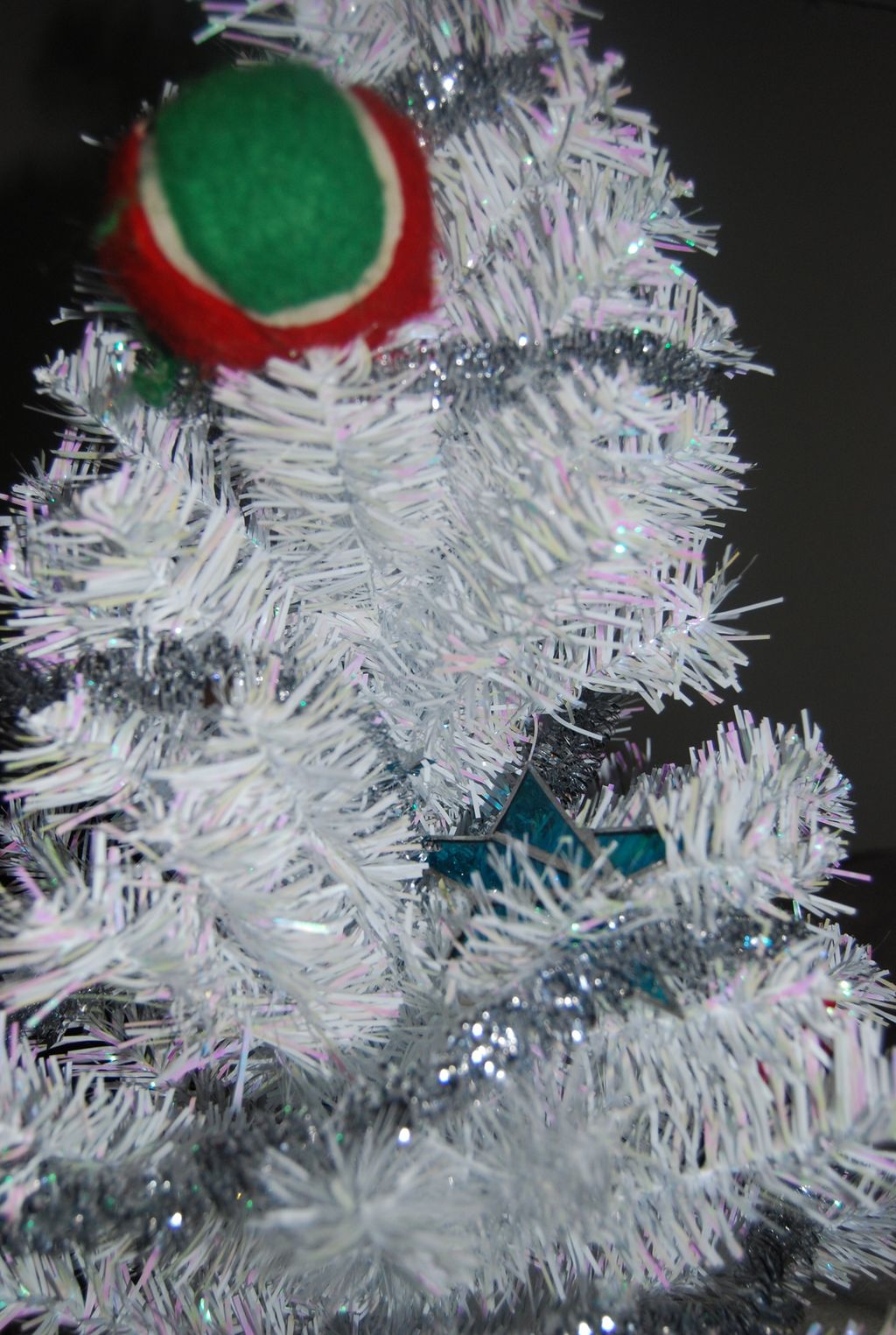 Dog's Christmas tree :)