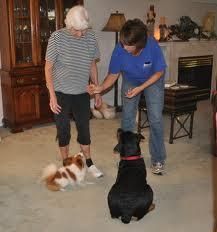In home training