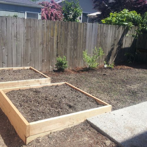 Raised beds and blueberries planted along fence.
