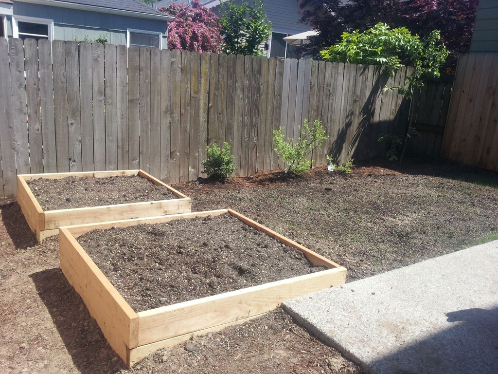 Raised beds and blueberries planted along fence.