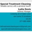 Special Treatment Cleaning Services