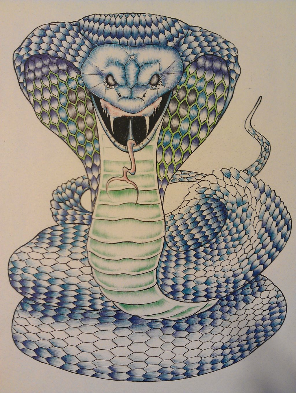 pen and ink illustrations