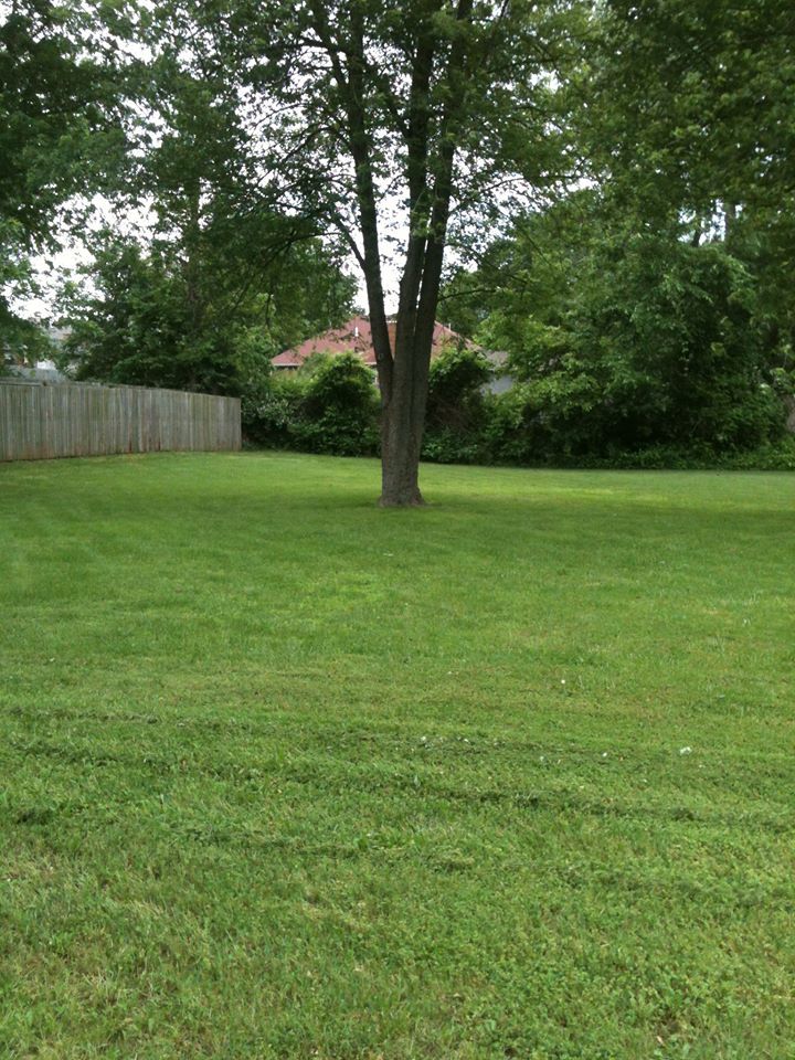 Large yards